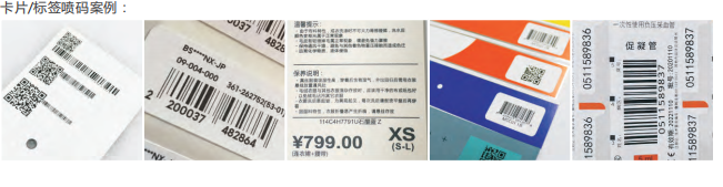 图片10